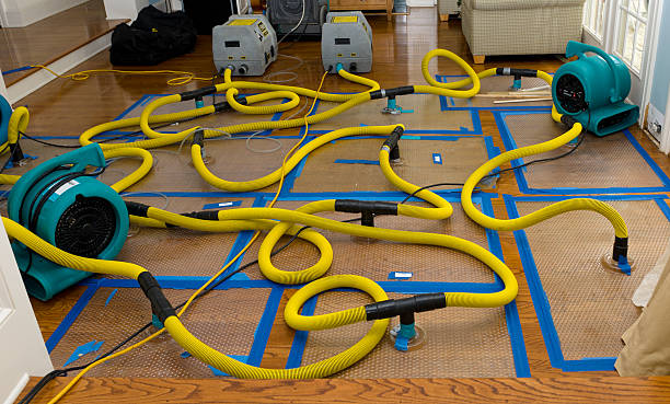 Professional Storm Water Damage Restoration technician working in Caryville, TN