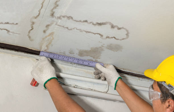 Affordable Water Damage Repair solutions in Caryville, TN